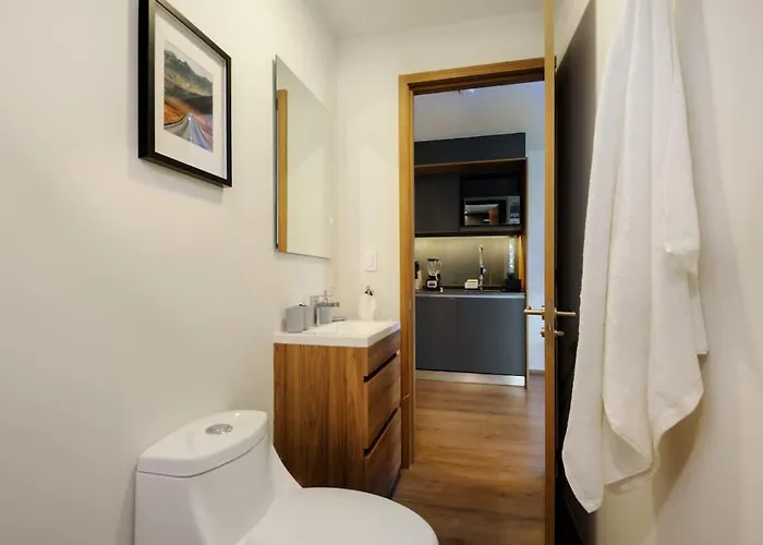 Cozy Furnished In U203 Apartment Mexico City